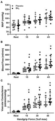 Tetrahydrobiopterin Administration Augments Exercise-Induced Hyperemia and Endothelial Function in Patients With Systemic Sclerosis